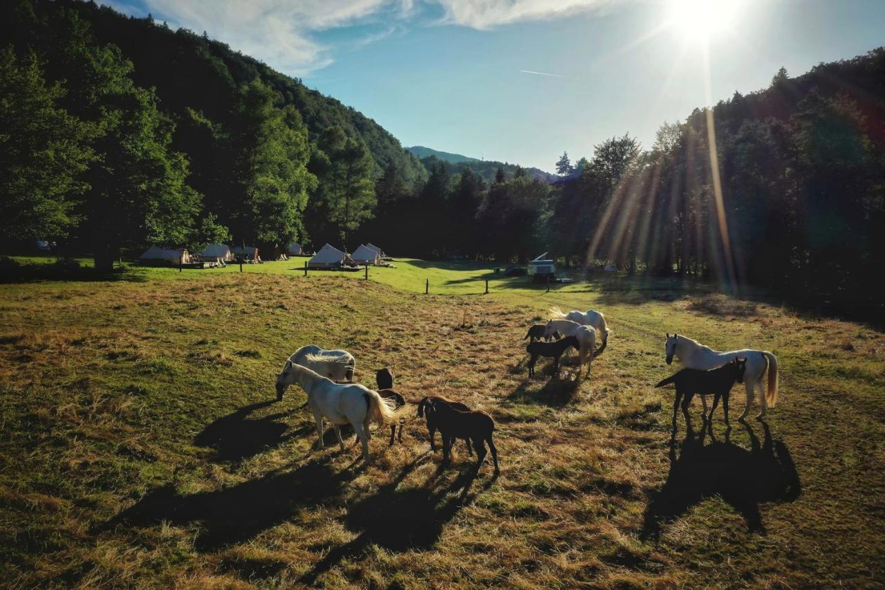 Eco River Camp Radovljica Exterior photo